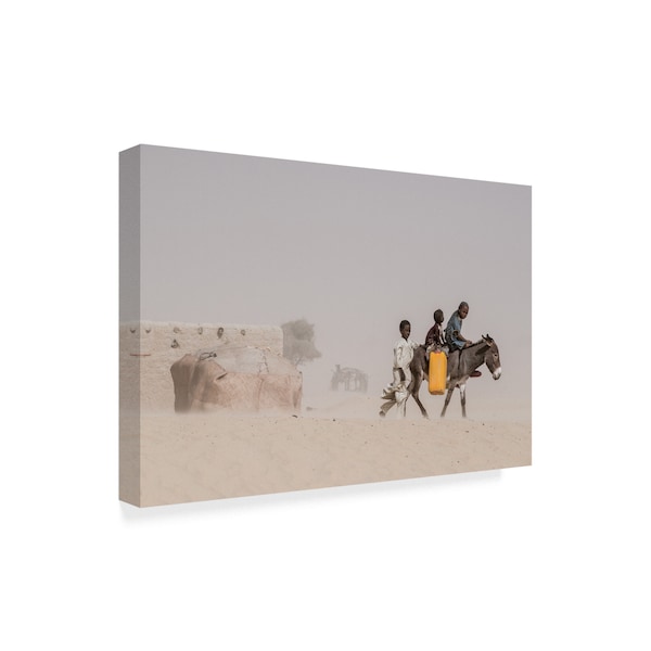 Joxe Inazio Kuesta 'Desert Donkey' Canvas Art,12x19